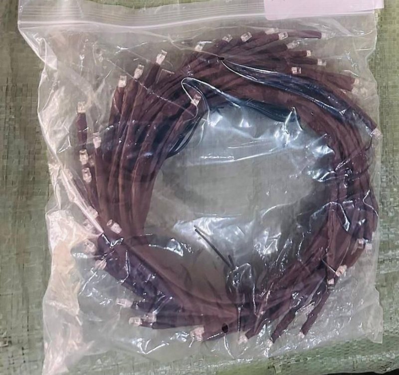Tree Branch LED Lights | Flexible Indoor Decorative Lighting - Nyara